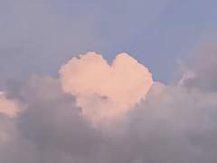 1 차, 2.5D 개인 봇 커미션