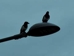 어제와 다른 오늘