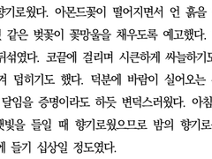 키타 신스케 드림