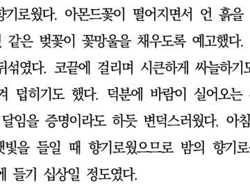 키타 신스케 드림