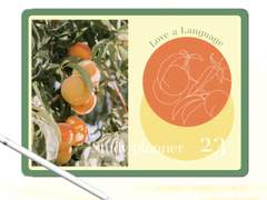 [날짜형] 외국어 공부 플래너🪂