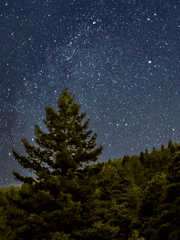 저기 당신, 이름이 뭔가요?