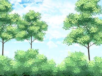 식물 브러시 15 세트