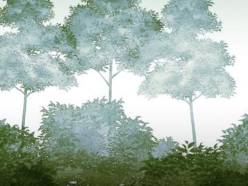 수채 식물 브러시 13 세트