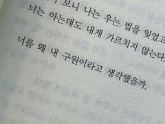 언젠가 보게 될 붉은 꽃을 위해서*