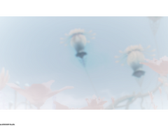 지쉐이드 White3 필터