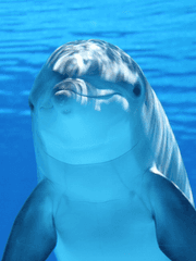 나는 두디쓰 열여덟인디