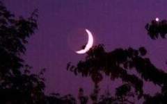 비우커 하즈키 히루 감염 3단계+과거로그