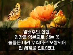 9. 판도라의 상자를 열겠다면야