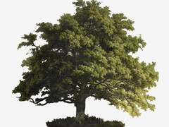 나의 여름에게 안녕 2