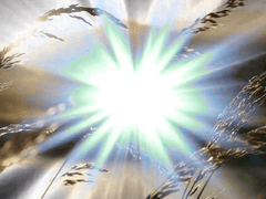 누가 신을 받는가?