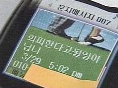 뇌 빼고 쓰는 짭근친