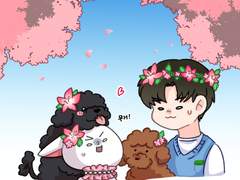 버미호의 나들이