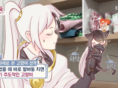 20220904 자기주도적 고양이