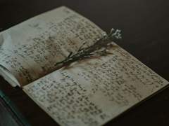 A lily of the valley