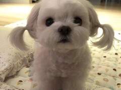 [NCT] 게이들이 좋아하는 여고생