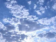 양나비 XX 19 운동부