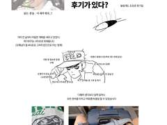 죠죠온리전 후기