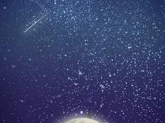 당신이라는 별은 정말,