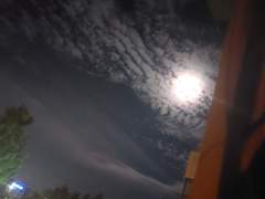 심청추 생일 소설