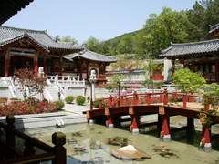 비담비아_反과正