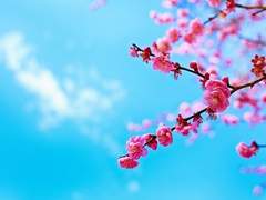 ❥ 너무 사랑하는 당신에게.