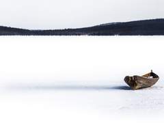 아무것도 이해할 필요가 없다 (2)