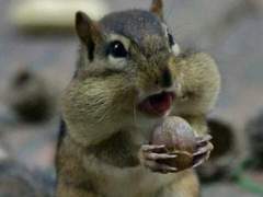 하이큐) 블랙자칼 팬미팅에 나타난 타코야키 킬러