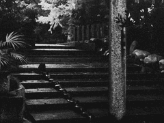 소르에 프로필.