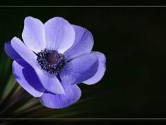 맹세를 되새기며