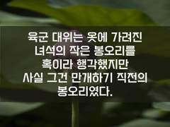 15. 만개하기 직전