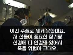 16. 수술이 가능해요?