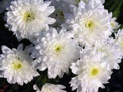 나는 여름이 싫어.