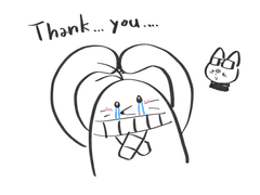 그냥 외국결제 확인용입니다