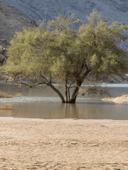 달과 태양, 각종 행성들의 어두웠던 그림자.