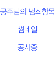 공주님의 범죄항목