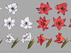 [클튜] 도피누아 아마릴리스 꽃 브러쉬