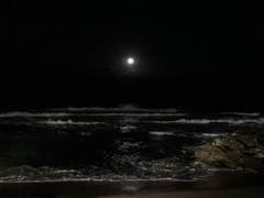 옅은 색소의 눈동자