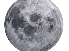 달빛 아래 너의 울음소리가 들려