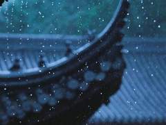 피를 머금은 혀로 中