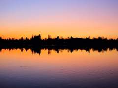 그런 연애 11 (완)