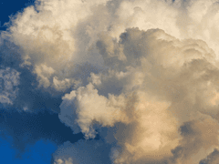 [위송영 / 23세 / 여성]