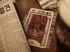 카드 살인마 메렌