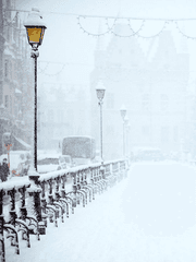 한겨울 눈 오는 날