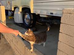 [MPS] This is a story about love