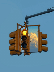 1-1. 트위터 백업