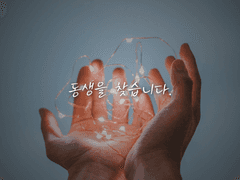 동생을 찾습니다. [프롤로그]