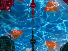 [샘플] Shape of Water