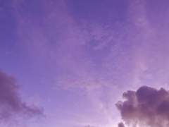 급 생각나는 망상들