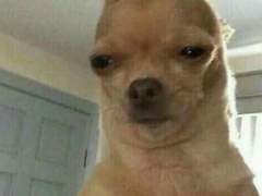 제목을 입력하세요.